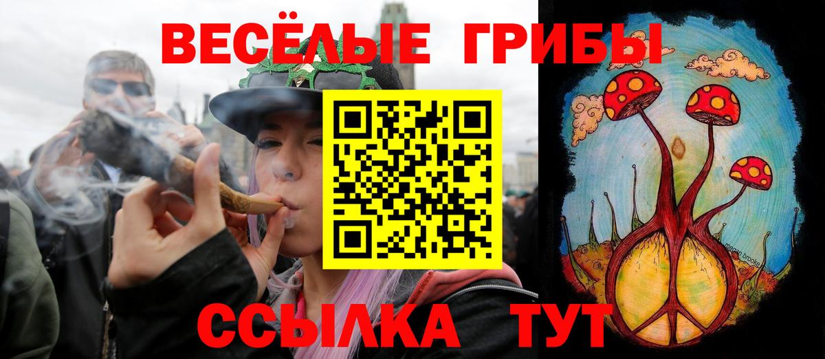 Псилоцибиновые грибы GOLDEN TEACHER Лысьва