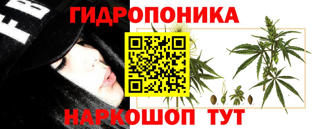 Лысьва  Шишки марихуана планчик  Каннабис Amnesia  Вход с VPN 